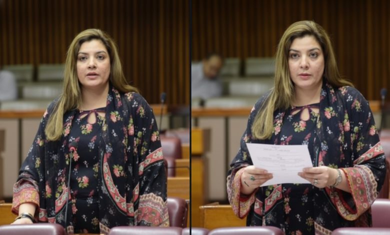 sabheen ghoury - Sabheen Ghoury Strengthens Pakistan China Ties