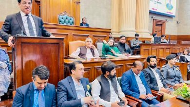 inclusive governance - Driving Inclusive Governance in Punjab