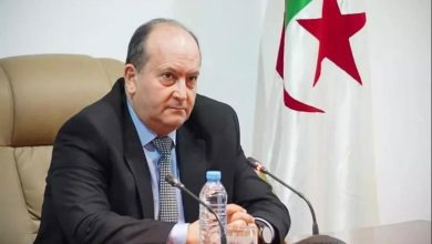 algeria investment - Accelerating Algeria Investment With Single Window
