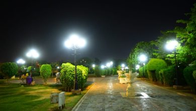 rawal park lighting - Rawal Park lighting boosts evening visits