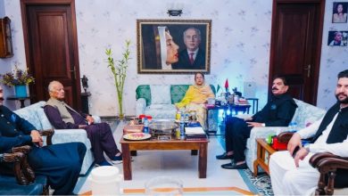 faryal talpur - Faryal Talpur Leads Push to Strengthen PPP