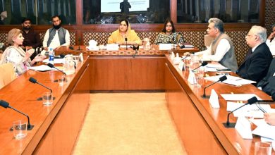 mdcat policy - Senate Demands MDCAT Policy Review and Transparency