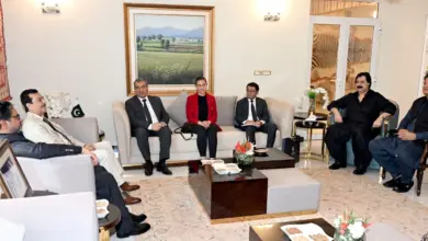 Chairman Senate Syed Yousaf Raza Gilani meeting Azerbaijan Ambassador Khazar Farhadov at Parliament House
