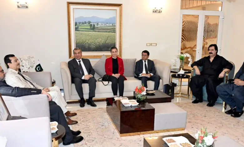 Chairman Senate Syed Yousaf Raza Gilani meeting Azerbaijan Ambassador Khazar Farhadov at Parliament House