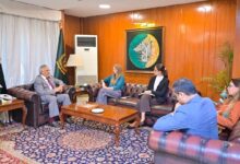Jane Marriott and Ishaq Dar discuss Pakistan-UK relations in Islamabad