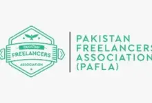 Pakistani freelancer working on a laptop representing record foreign exchange earnings in FY26