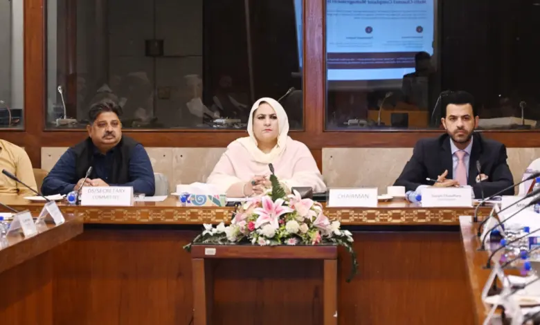 National Assembly committee meeting on women’s protection and human rights