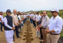 Bank Alfalah and WWF-Pakistan Mark Pakistan's Independence Day with Alfa Forest Mangrove Plantation Drive