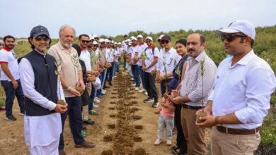 Bank Alfalah and WWF-Pakistan Mark Pakistan's Independence Day with Alfa Forest Mangrove Plantation Drive