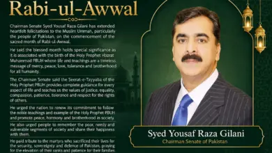 Chairman Senate Syed Yousaf Raza Gilani