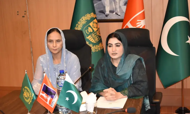 Women’s Parliamentary Caucus delegation meeting NCSW officials in Islamabad