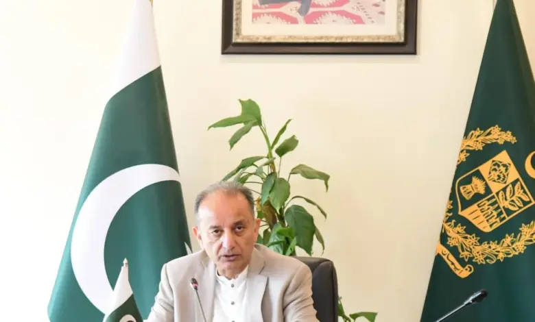 Federal Minister for Climate Change Dr Musadik Malik addressing a seminar on migration governance