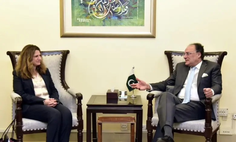 IMF Mission Chief Ms Iva Petrova meeting Finance Minister Senator Muhammad Aurangzeb in Islamabad