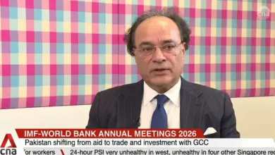 Finance Minister Muhammad Aurangzeb speaking about Pakistan trade and remittances
