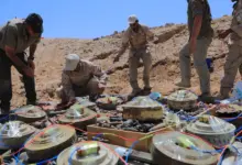 Camouflaged landmines and explosive devices discovered in Taiz and Yemen western coast areas