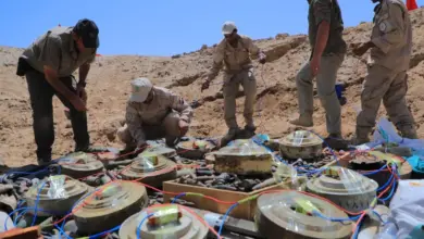 Camouflaged landmines and explosive devices discovered in Taiz and Yemen western coast areas