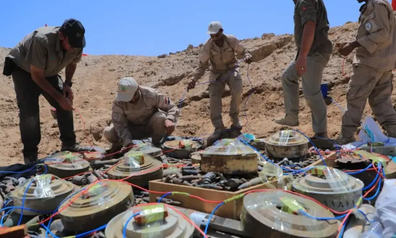 Camouflaged landmines and explosive devices discovered in Taiz and Yemen western coast areas