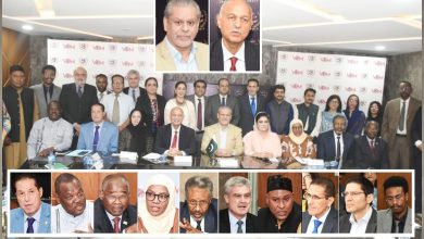 pakistan africa connectivity - Driving Pakistan Africa Connectivity Through Trade