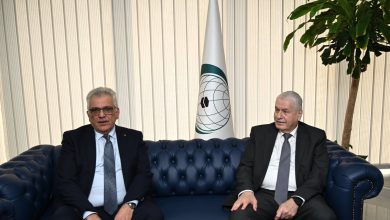 support for palestine - OIC Steps Up Support for Palestine
