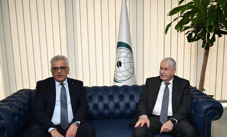 support for palestine - OIC Steps Up Support for Palestine