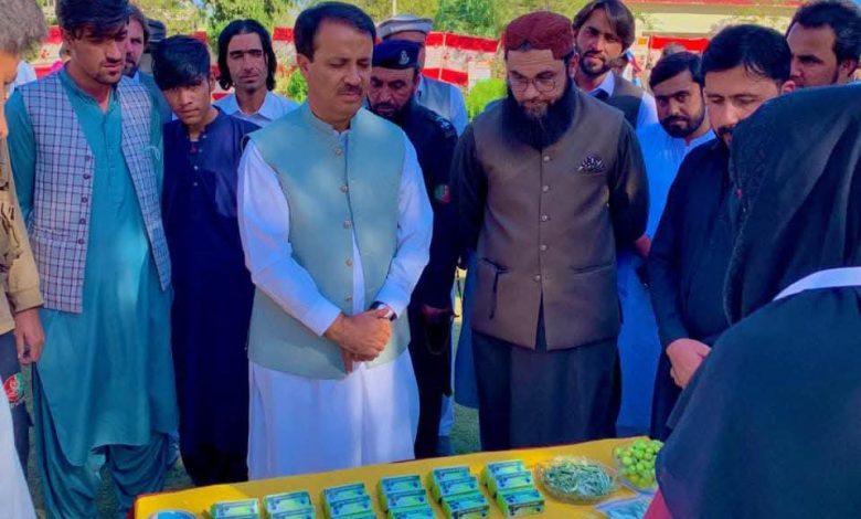 olive value chain - Promoting Olive Value Chain in Zhob