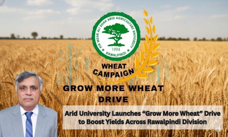 grow more wheat - PMAS AAUR Launches Grow More Wheat Campaign