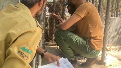 rano rescue - Rano Rescue Advances in Karachi