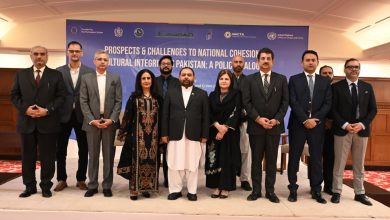national cohesion - Promoting National Cohesion Through Culture