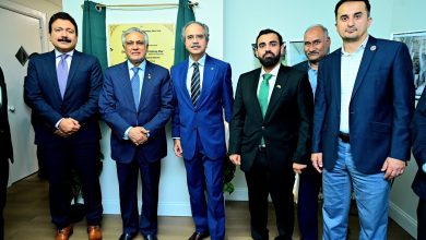 consular services - Revamping Consular Services at Pakistan Consulate NY