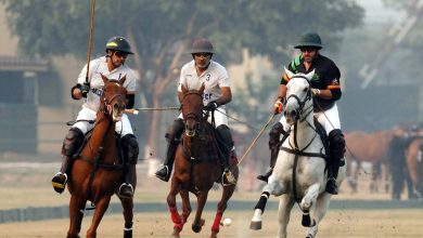corps commander polo - FG/Din and Diamond Paints Advance in Corps Commander Polo