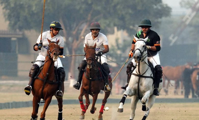 corps commander polo - FG/Din and Diamond Paints Advance in Corps Commander Polo