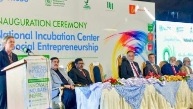 social entrepreneurship - Youth Empowered by Social Entrepreneurship Incubator