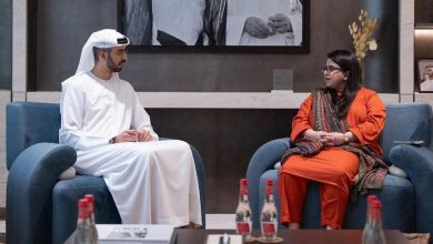 ai partnership - Driving AI Partnership Between Pakistan and UAE
