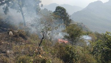 sindoori fire - Authorities Tackle Sindoori Fire Overnight