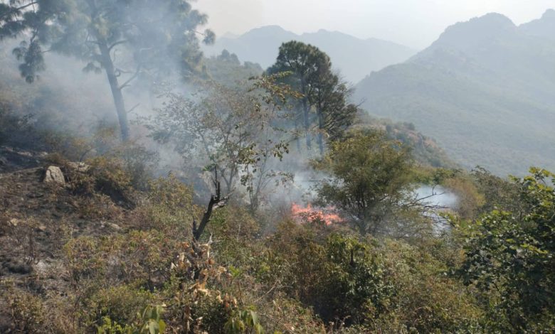 sindoori fire - Authorities Tackle Sindoori Fire Overnight