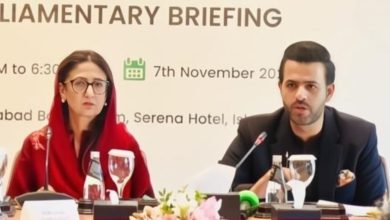 cop30 strategy - Shaping Pakistan COP30 Strategy on Climate Finance