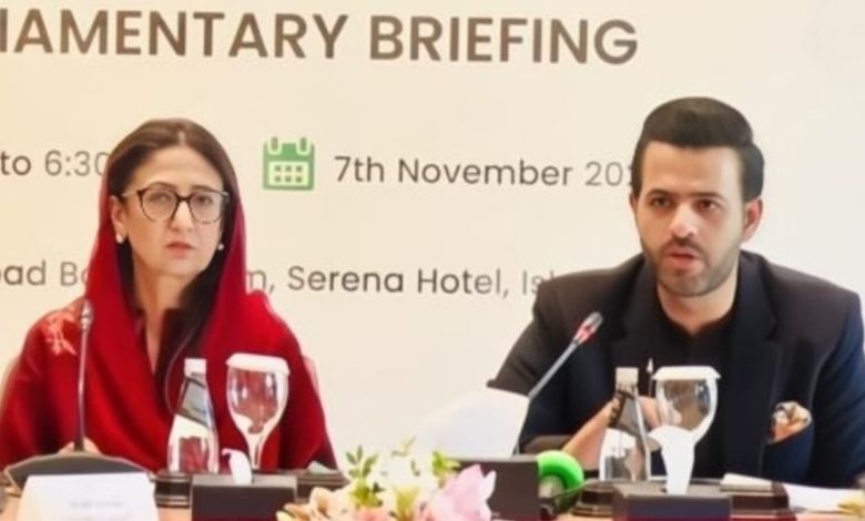 cop30 strategy - Shaping Pakistan COP30 Strategy on Climate Finance