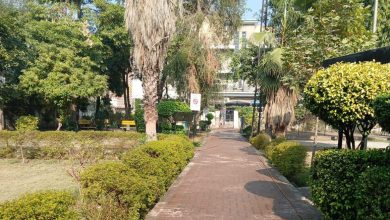childrens park rawalpindi - Horticulture Agency Beautifies Childrens Park Rawalpindi