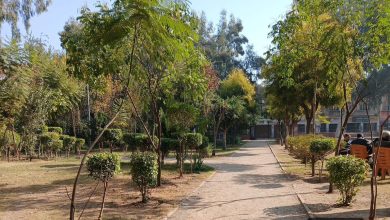 atta-ur-rehman park - Horticulture Agency Beautifies Atta-ur-Rehman Park