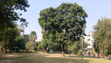 rawalpindi parks - Transforming Rawalpindi Parks into Greener Spaces