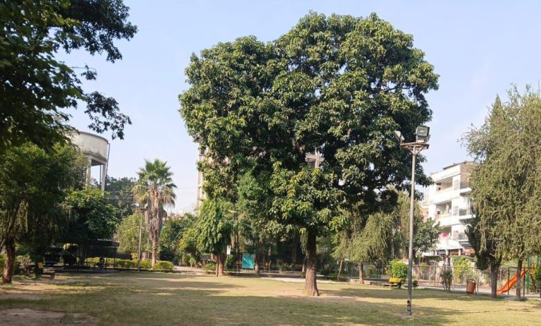 rawalpindi parks - Transforming Rawalpindi Parks into Greener Spaces