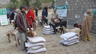 livestock empowerment - KSrelief Expands Livestock Empowerment in KP