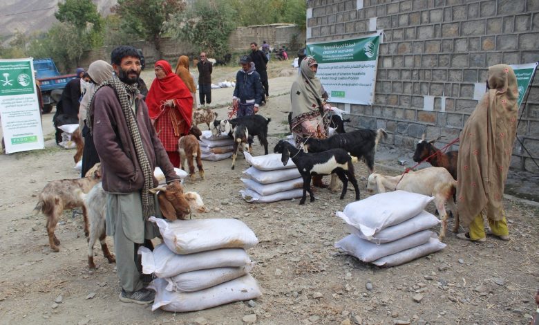livestock empowerment - KSrelief Expands Livestock Empowerment in KP