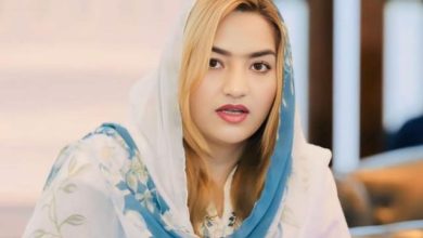 shazia jadoon - PML-N Elevates Shazia Jadoon in Khyber Pakhtunkhwa