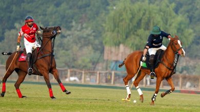 battle axe polo - Master Paints Sheikhoo Storm Into Battle Axe Polo Final