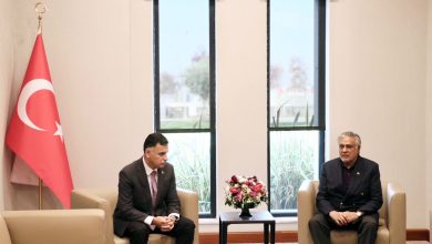 gaza talks - Pakistan Deputy PM Heads to Istanbul for Gaza Talks