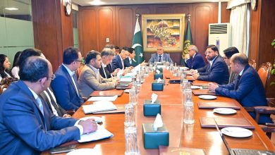 regional cooperation - Advancing Regional Cooperation with Neighbouring States
