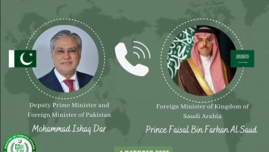 gaza ceasefire - Pakistan Seeks Gaza Ceasefire With Saudi Support