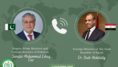 gaza ceasefire - Pakistan Egypt Advance Diplomatic Push for Gaza Ceasefire