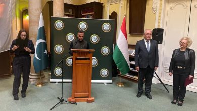 pakistani art - Showcasing Pakistani Art in Budapest